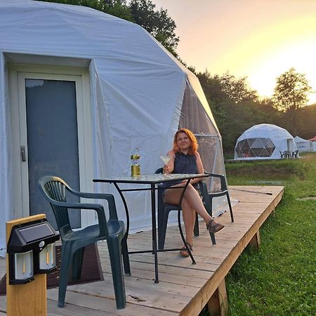 Forest Glamping Braşov Esterno foto