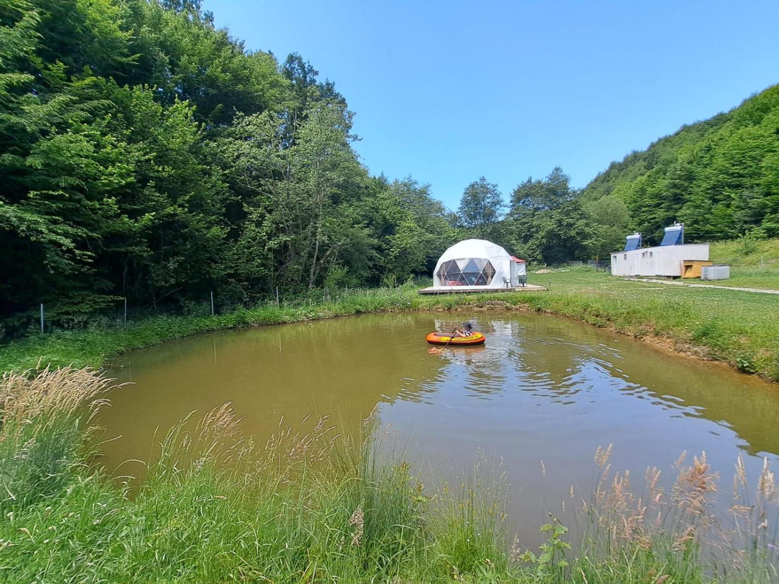 Forest Glamping Braşov Esterno foto