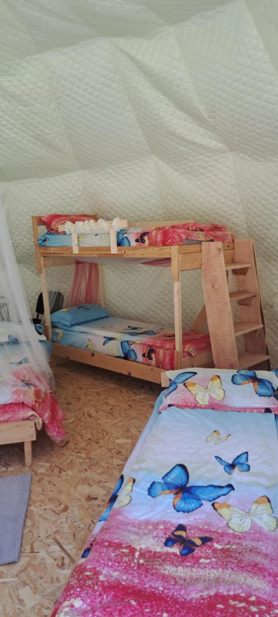 Forest Glamping Braşov Esterno foto