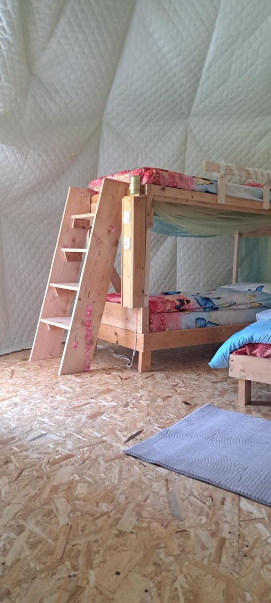 Forest Glamping Braşov Esterno foto