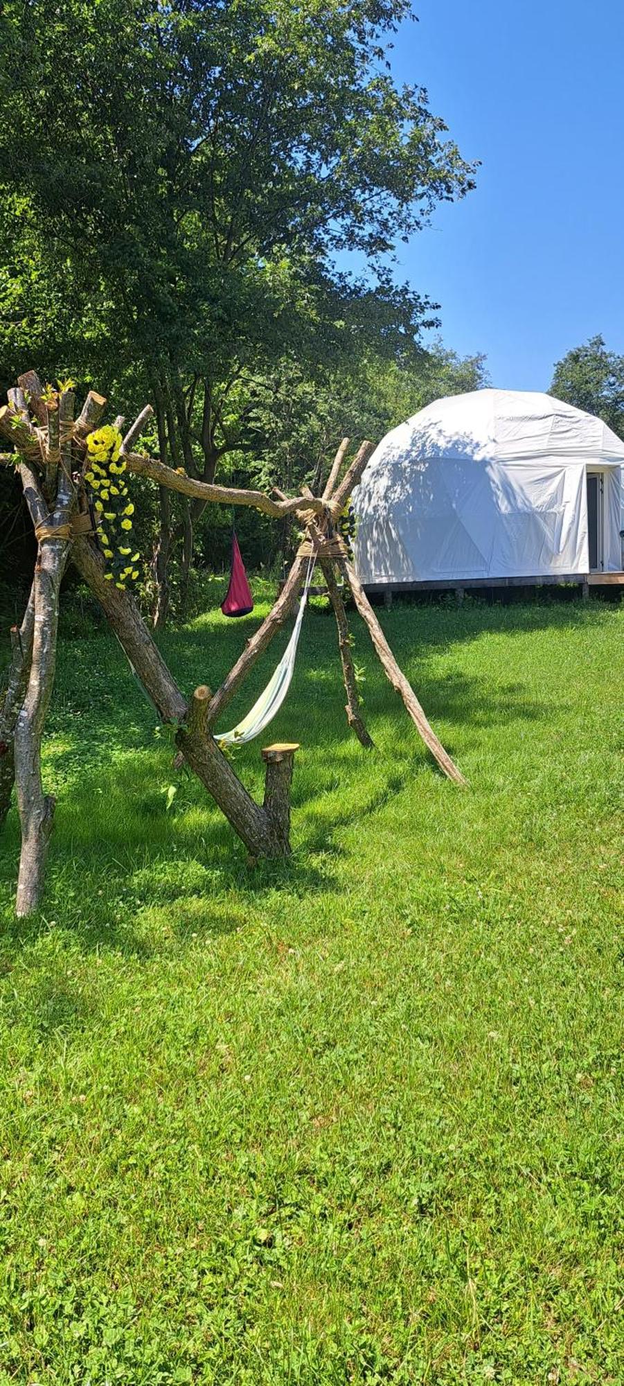 Forest Glamping Braşov Esterno foto