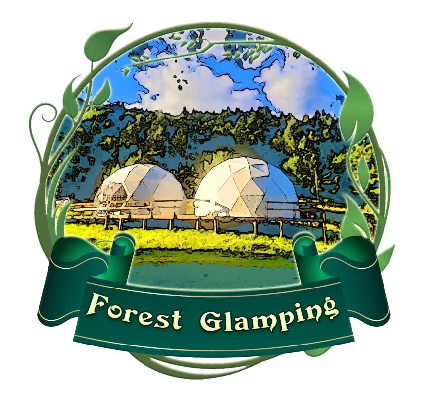 Forest Glamping Braşov Esterno foto