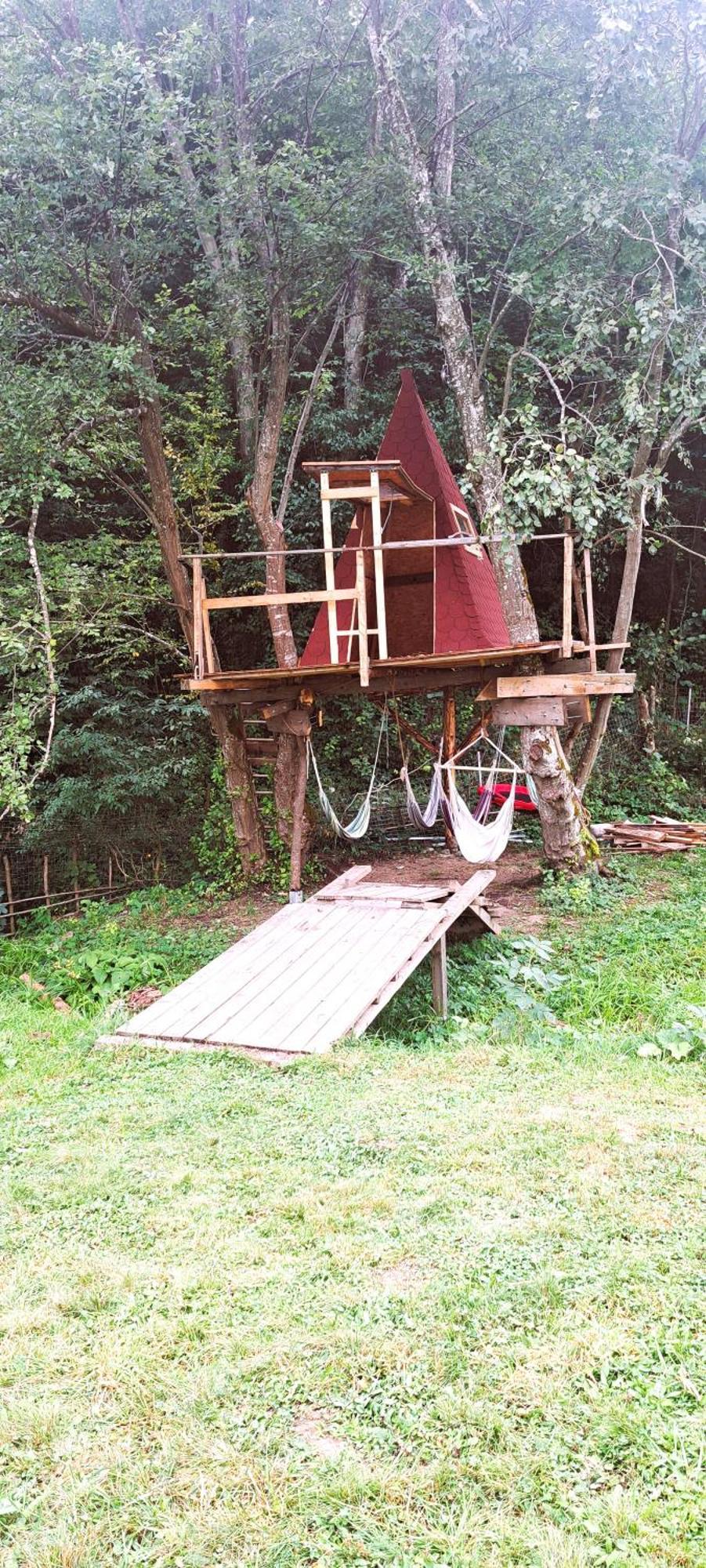 Forest Glamping Braşov Esterno foto